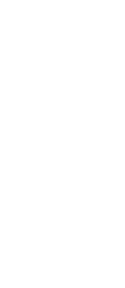 BT