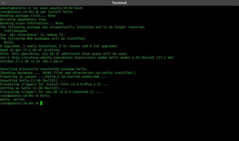 LXD screenshot